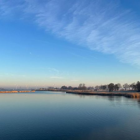 Hausboot Der Frieslaender Im Wangermeer Schillig Buitenkant foto